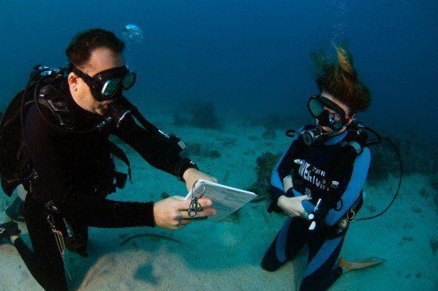 8 Jobs That You Can Travel the World With
