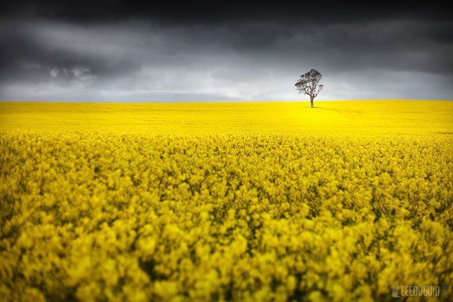 Becoming a professional photgrapher
