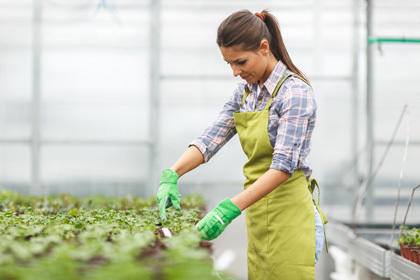 Horticulture Courses in Queensland - Training.com.au