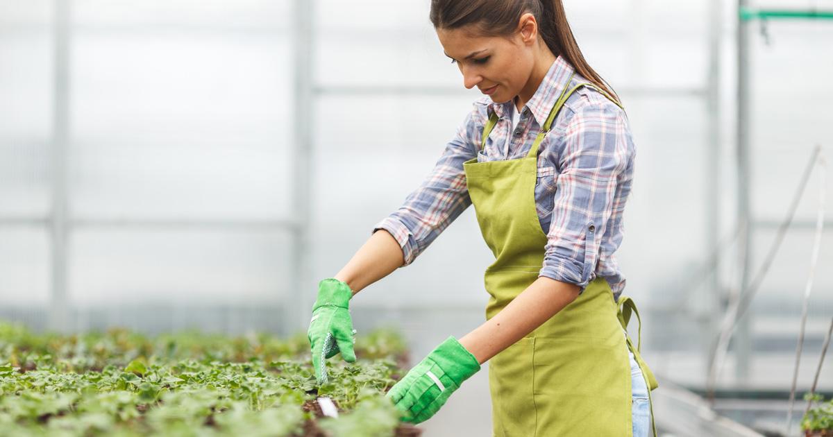 Horticulture degree courses