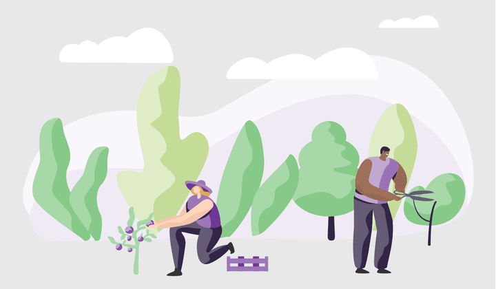 Types of Agriculture Jobs in Australia