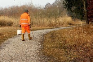 7 Jobs That Allow You to Work Outdoors