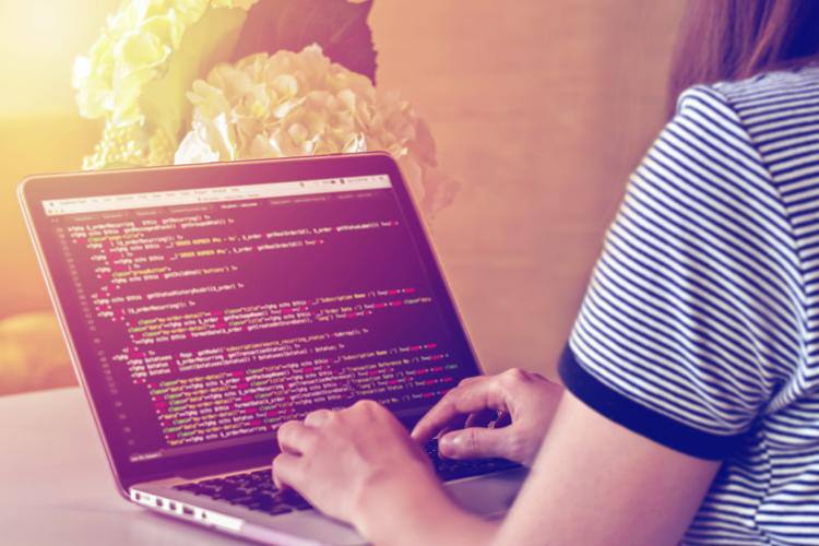 web development courses